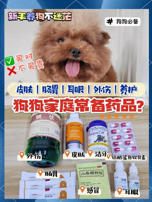 狗狗胆囊炎的症状是怎样的,要怎么治疗