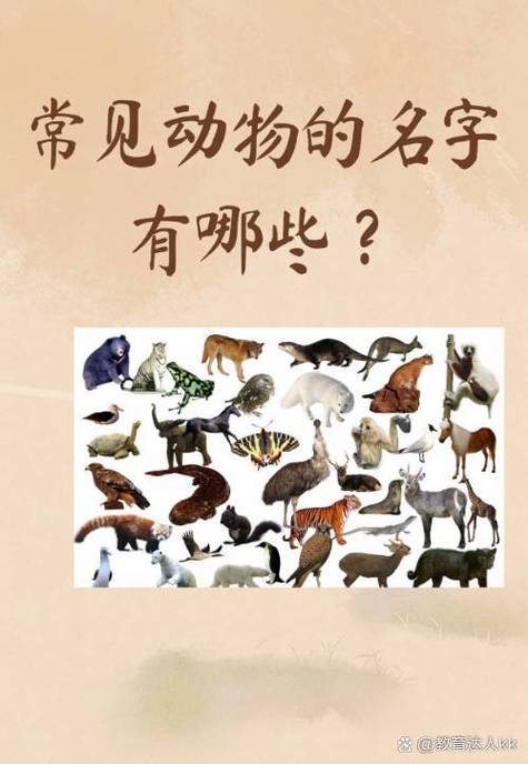 100种外来物种动物的名字