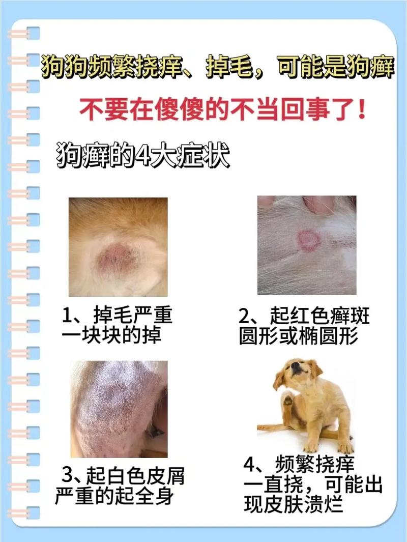 狗狗眼角有点脱毛怎么回事啊
