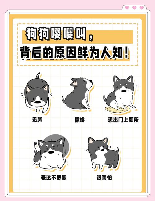 狗狗发出嘤声说明什么，狗狗发出嘤嘤的声音代表什么
