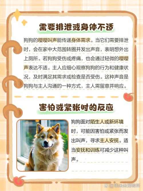 狗狗一直嘤嘤的叫是怎么了