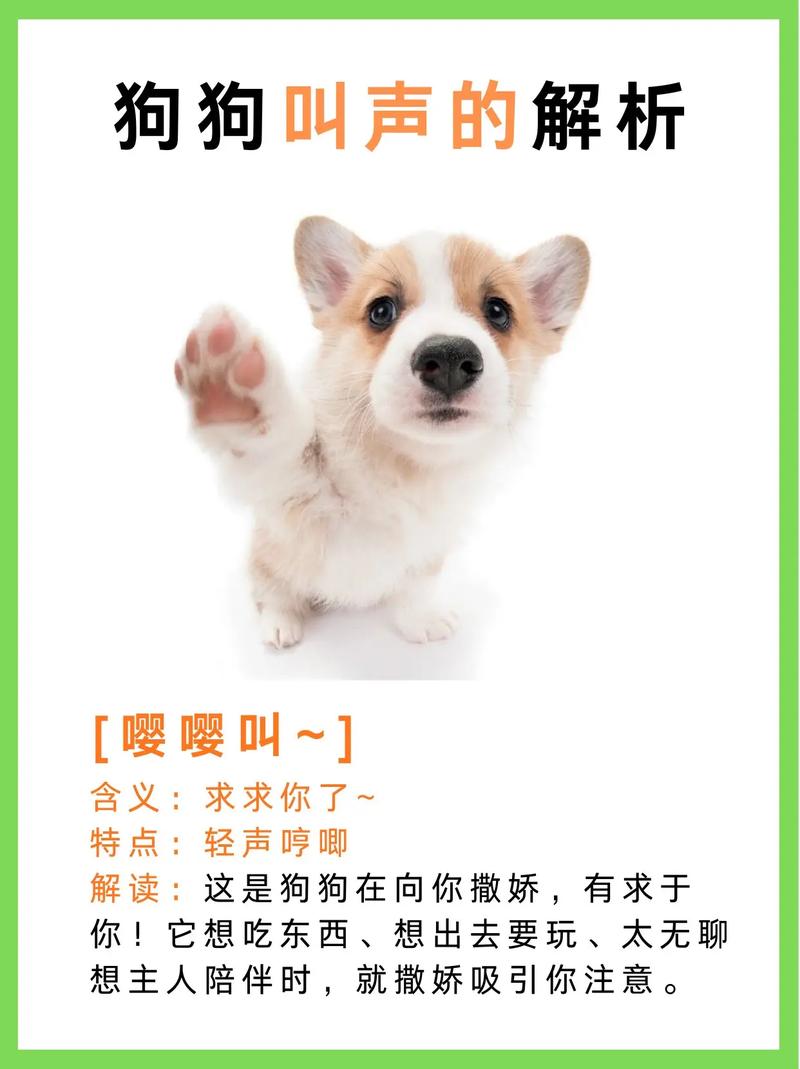 狗狗发出委屈的嘤嘤声