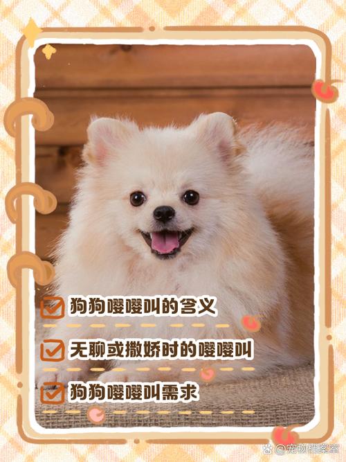 狗狗总是嘤嘤嘤是什么情况?