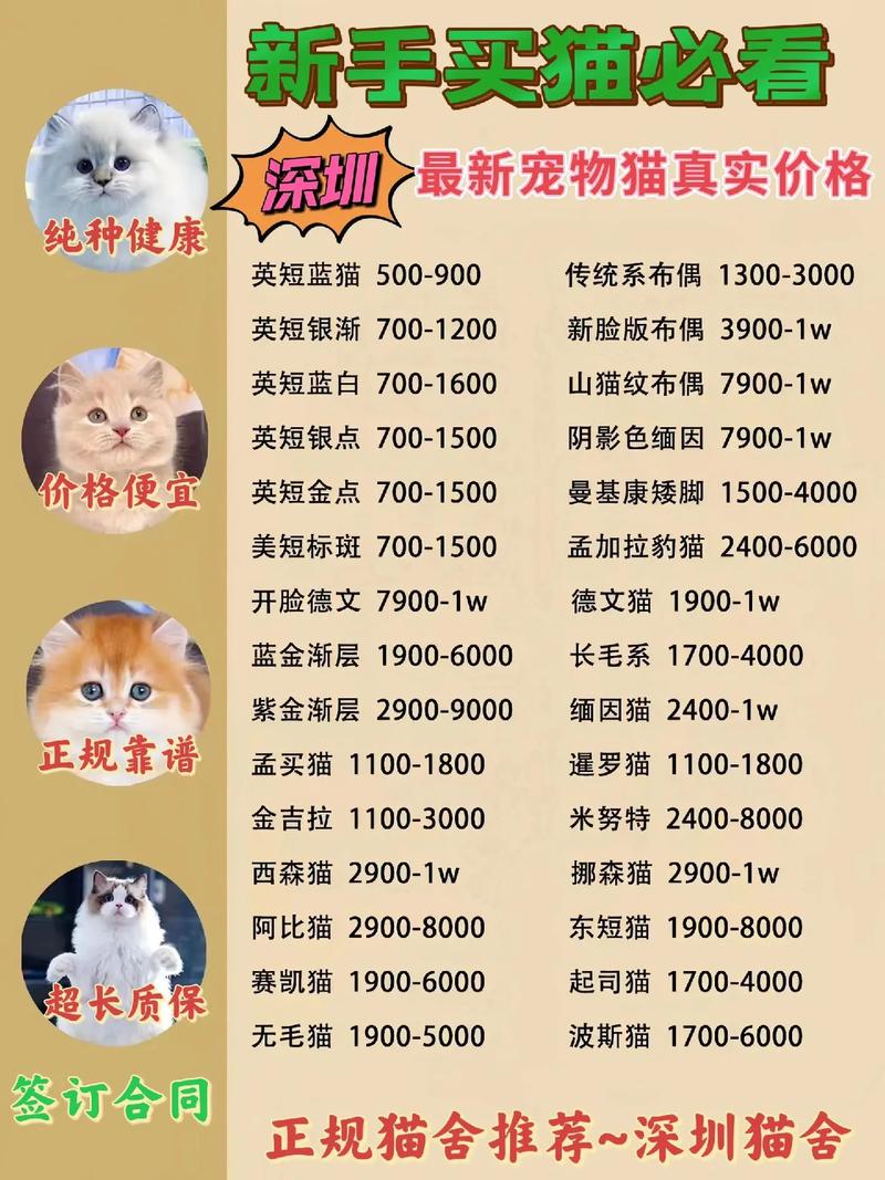 宠物猫的费用
及品种