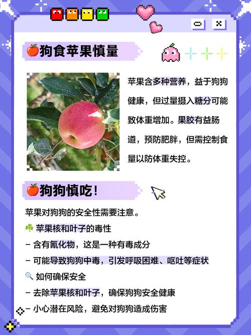 苹果醋对狗狗的好处有哪些?