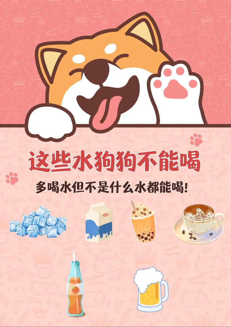 狗狗ph值偏高怎么调整