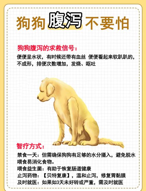 狗狗拉肚子了怎么办?