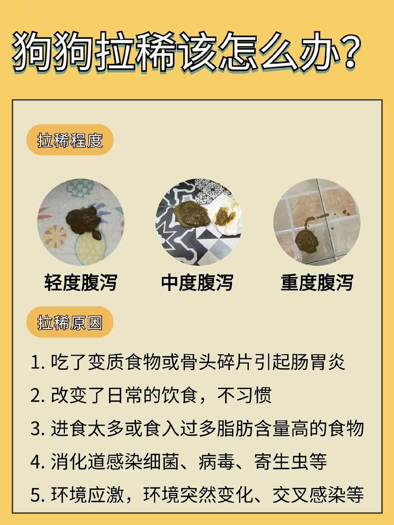 狗狗拉稀了怎么办，狗狗拉稀了怎么办用最简单的方法