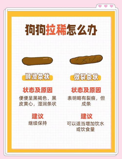 狗狗拉肚子怎么办啊?