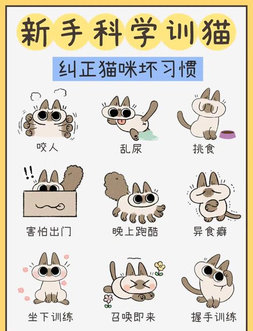 如何训练猫咪不咬人，如何训练猫咪不咬人的方法