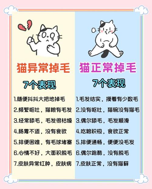 猫猫掉毛怎么办