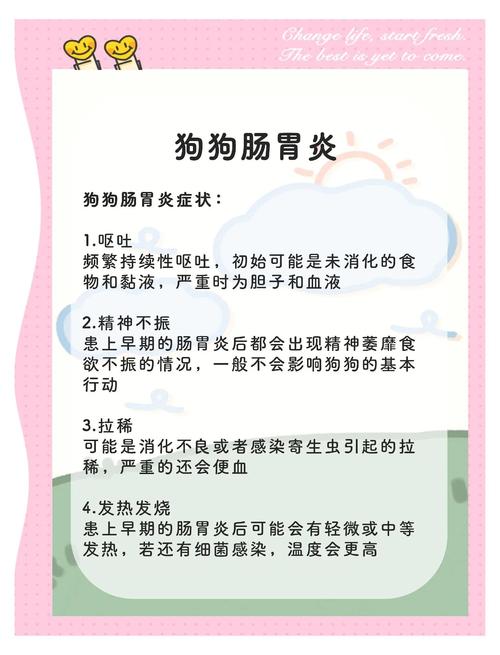 狗狗肠胃炎怎么办？狗狗肠胃炎怎么办吃什么药？