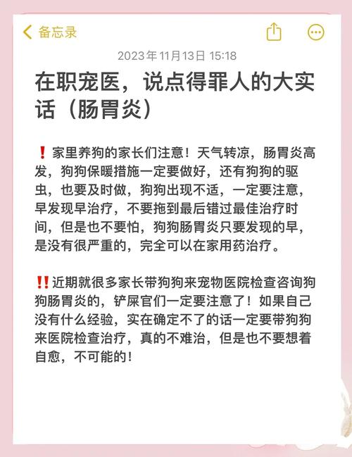 狗狗肠胃炎在家自救方法