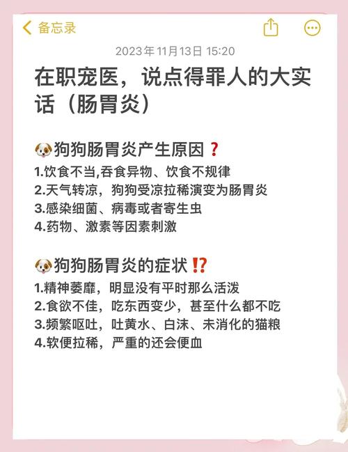 狗狗肠胃炎怎么办?