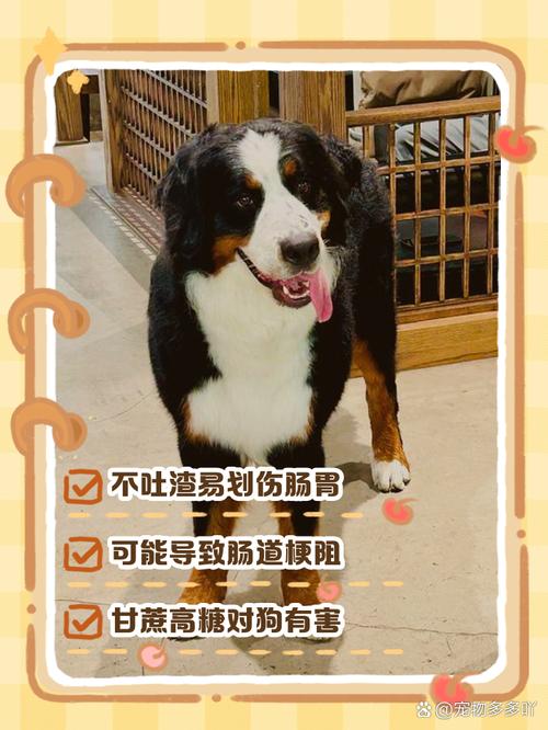 狗狗吃了甘蔗有事吗