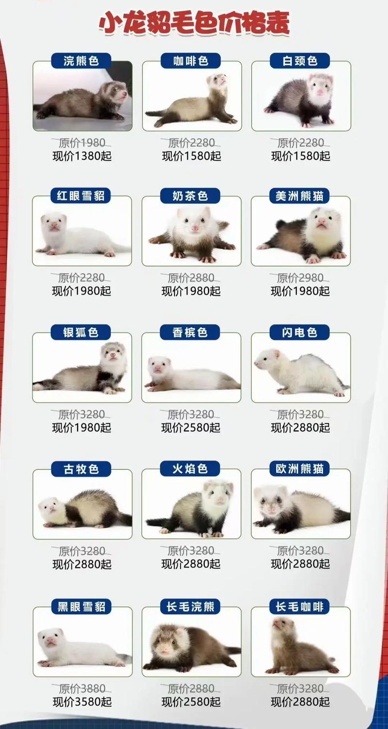 小猪多少钱一只小猪费用
是多少