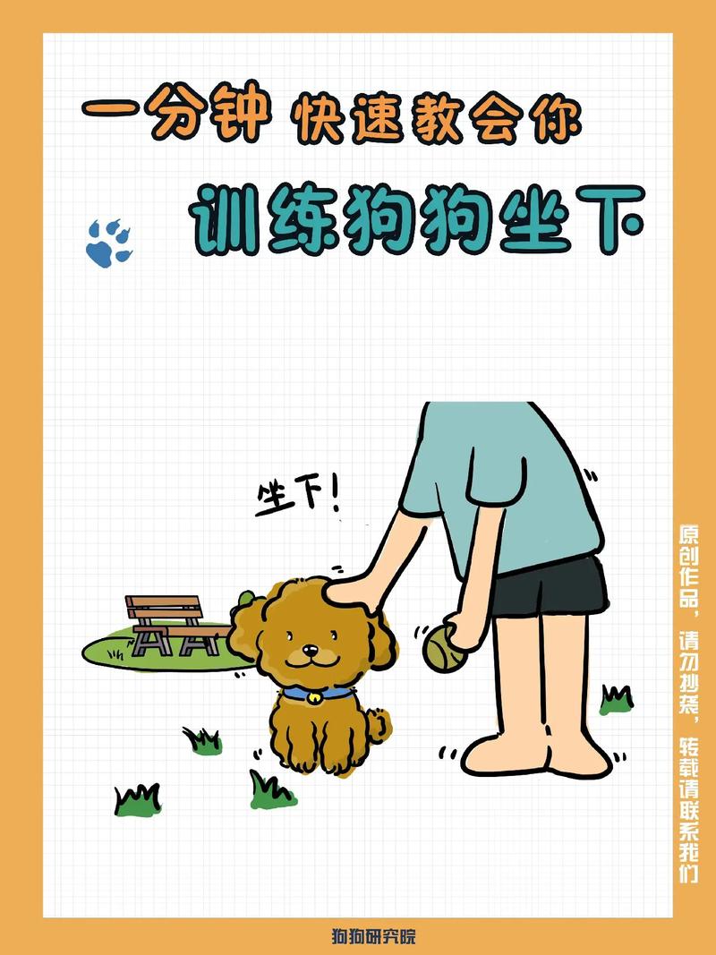 怎么训练狗狗坐下，怎么训练狗狗坐下不动？