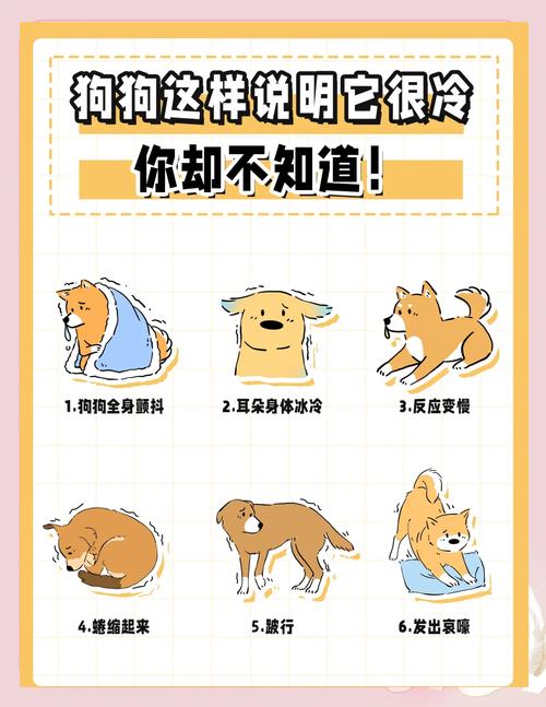 为什么狗狗突然发抖尿失禁