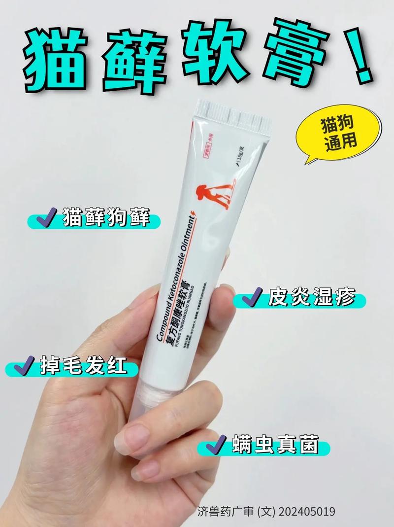 猫咪皮肤病症状？猫咪皮肤病的症状？