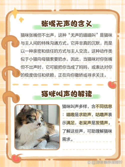为什么猫只张嘴不出声呢?