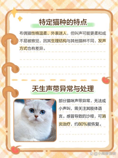 猫咪从来不叫是什么原因?