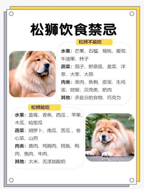 克隆一只狗需要多少钱