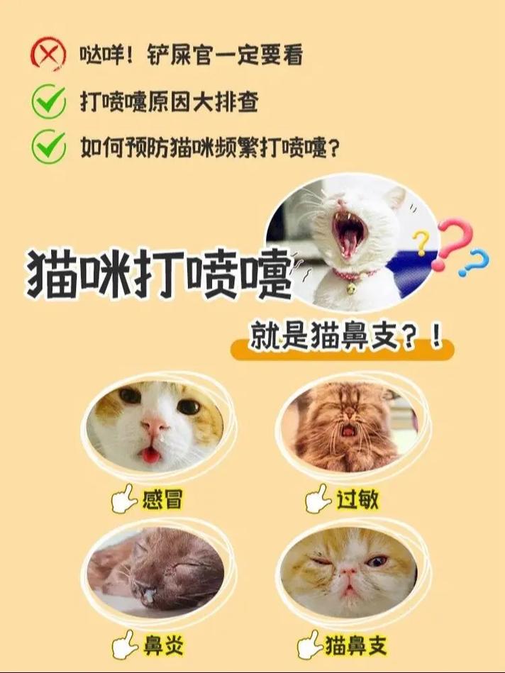 猫咪总打喷嚏怎么办，猫老打喷嚏是什么症状？