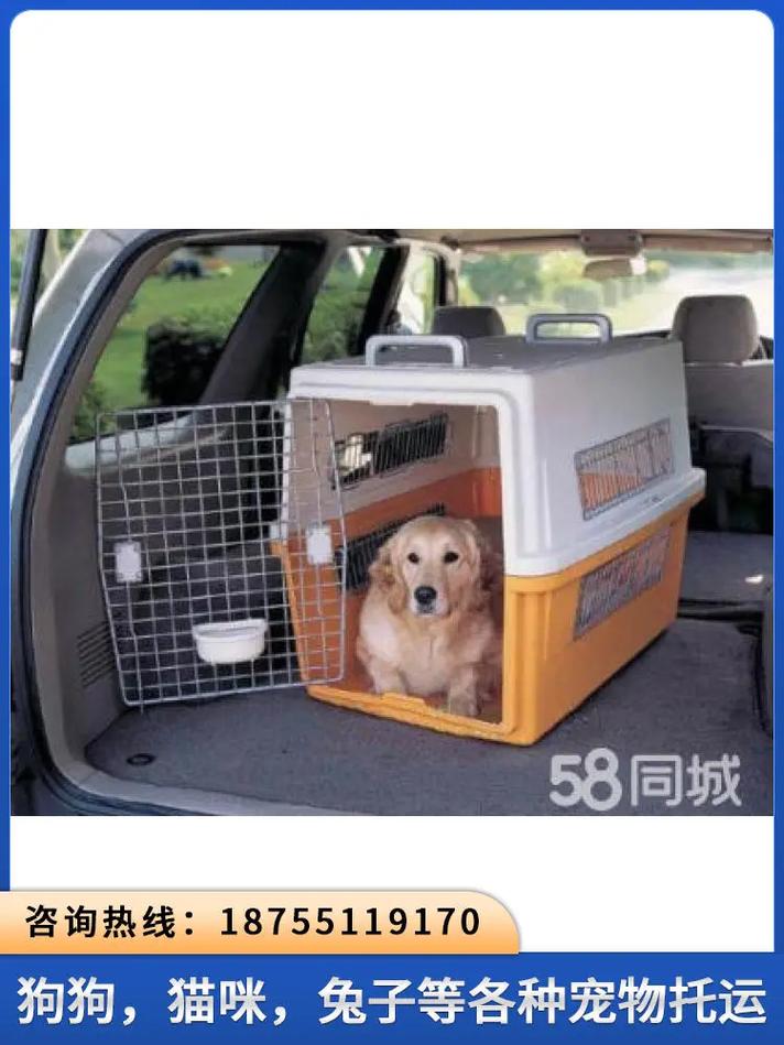哪家快递公司可以托运狗狗?