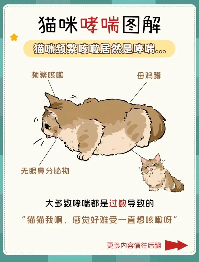 怎么诊断猫咪哮喘病?