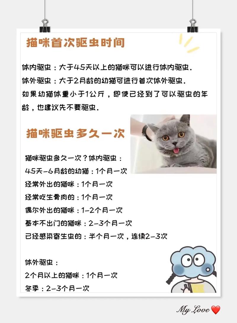 猫咪体内驱虫多久一次？如何给猫咪驱虫？