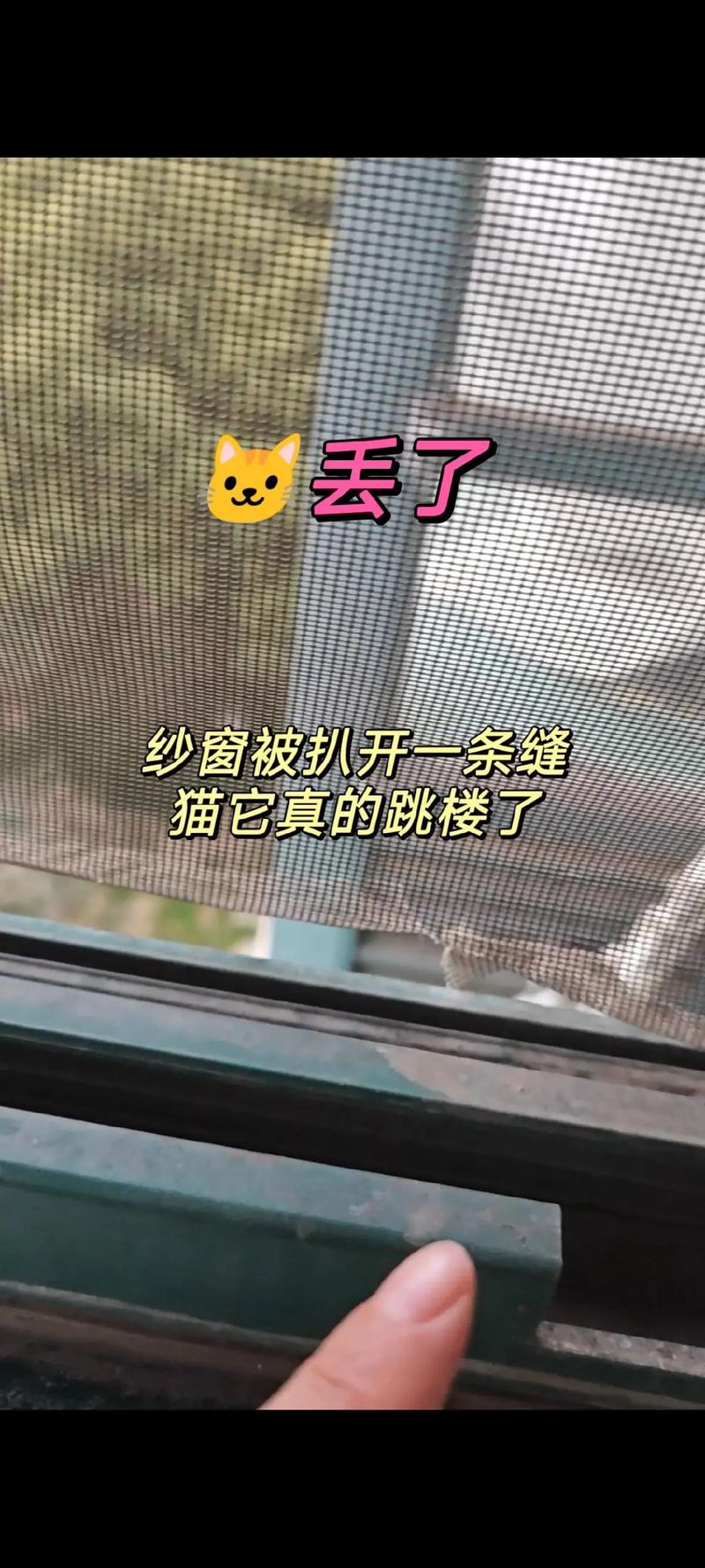 猫会从高楼跳下去吗