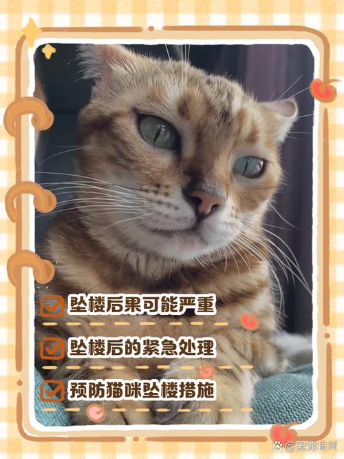家住三楼,小猫会不会从阳台跳下去?