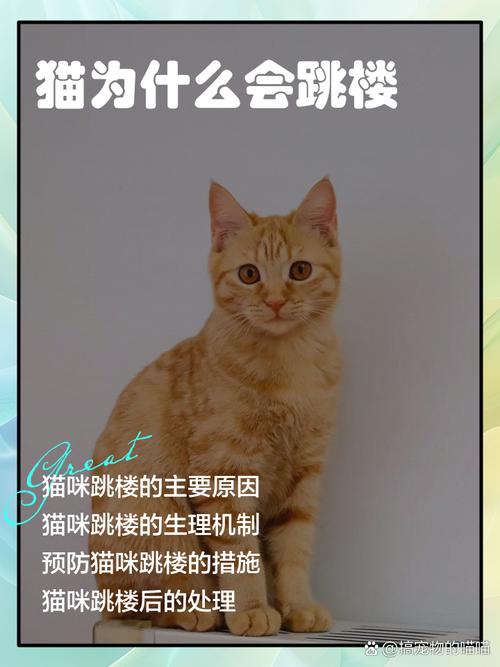 猫会跳窗户吗猫为什么跳窗