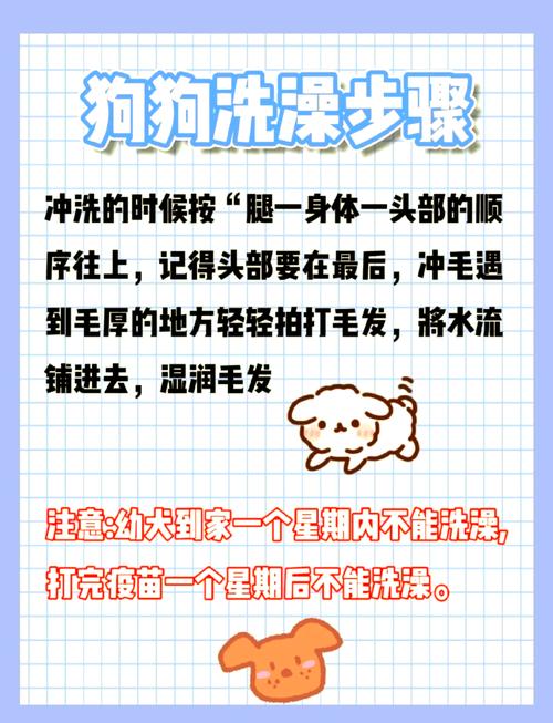 狗狗洗澡用什么洗
