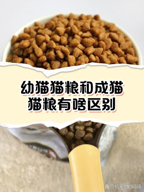 成猫猫粮和幼猫猫粮的区别，成猫粮和幼猫粮哪个营养高