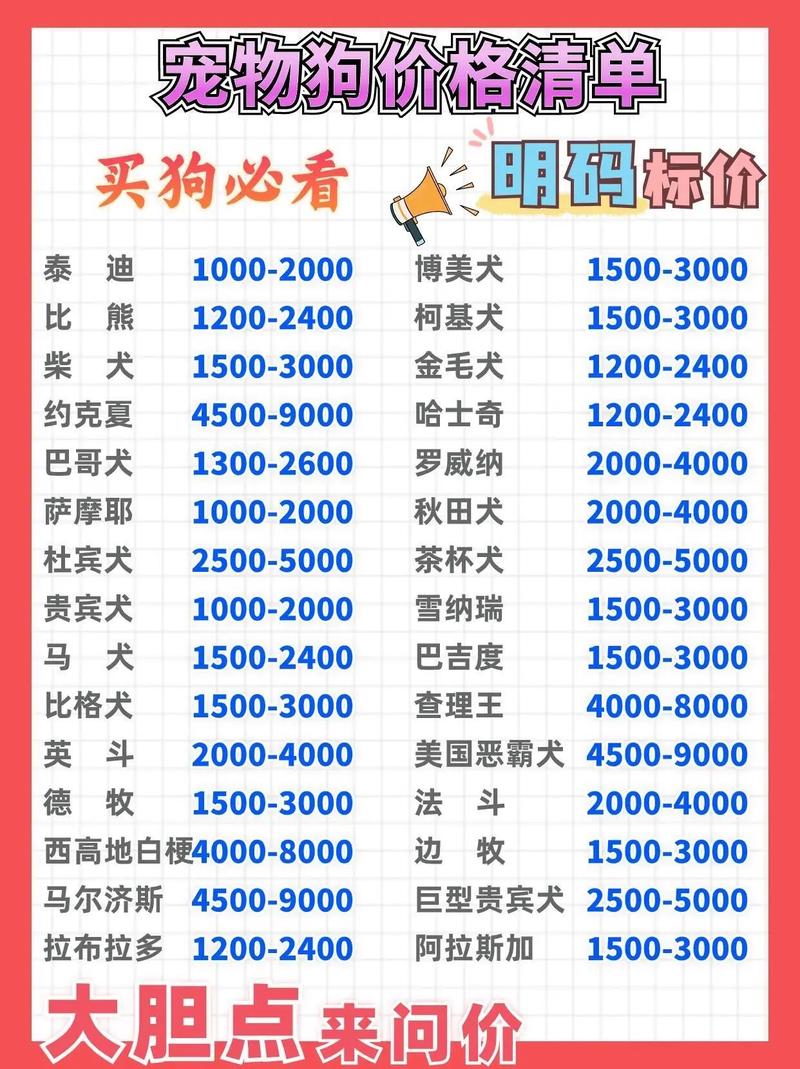 什么贵宾犬又便宜又可爱?(费用
在100元左右的)