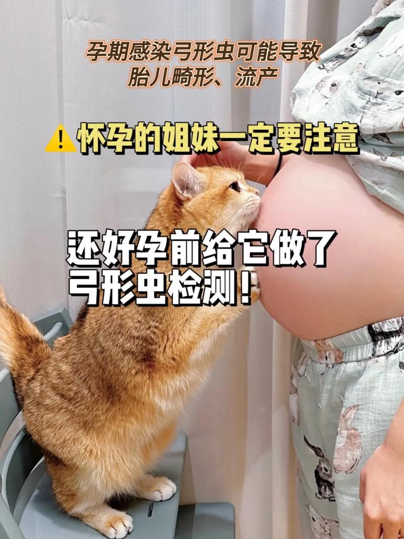怀孕养猫对胎儿有什么影响