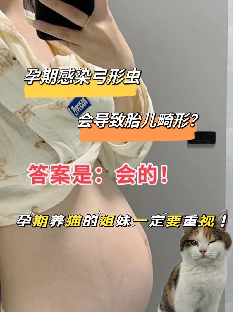 怀孕了,家里的猫咪到底还能不能继续养了