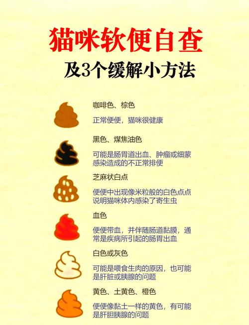 猫咪拉肚子原因，猫咪拉肚子怎么回事儿