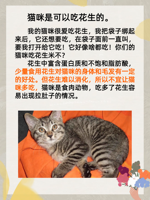 猫咪能吃花生米吗，猫能吃花生吗?
