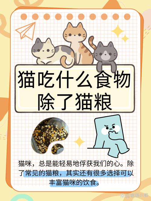 小猫咪应该吃什么?