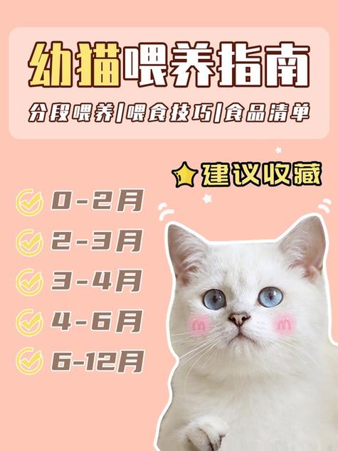 农村喂小土猫吃什么