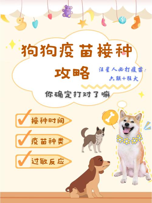 一般给狗狗打六联和狂犬疫苗正常收费一针是多少钱?