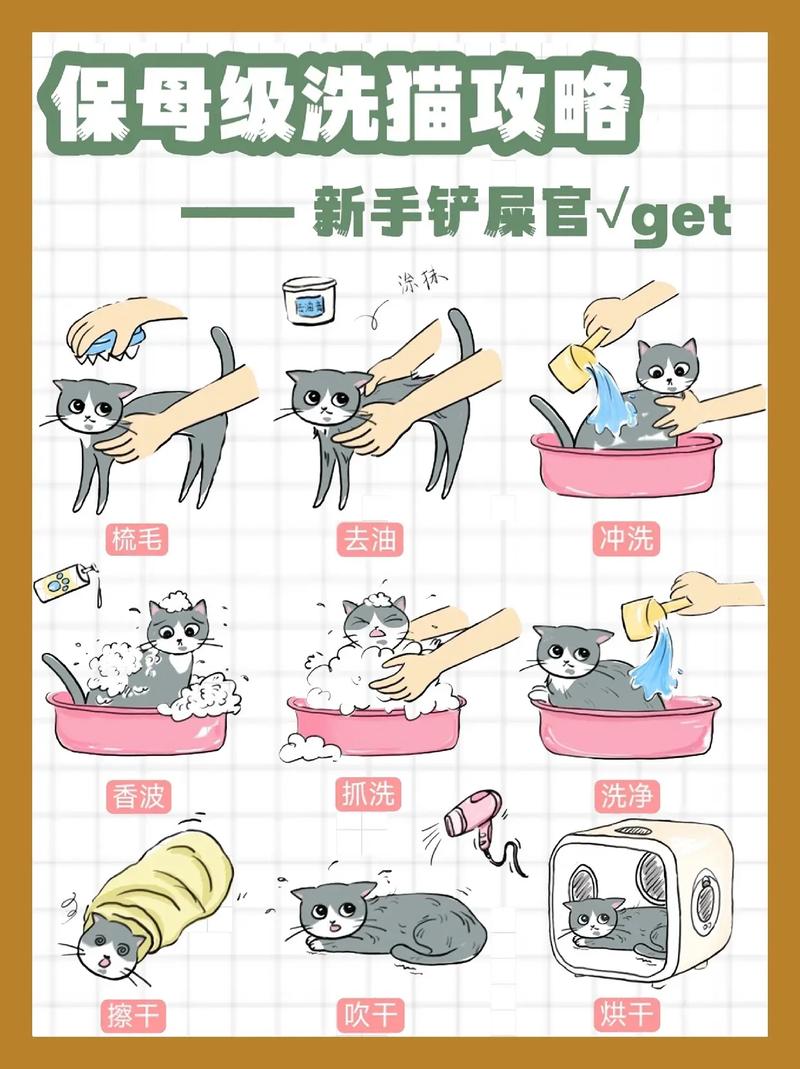 2个月猫可以洗澡吗,2个月猫可以洗澡吗夏天