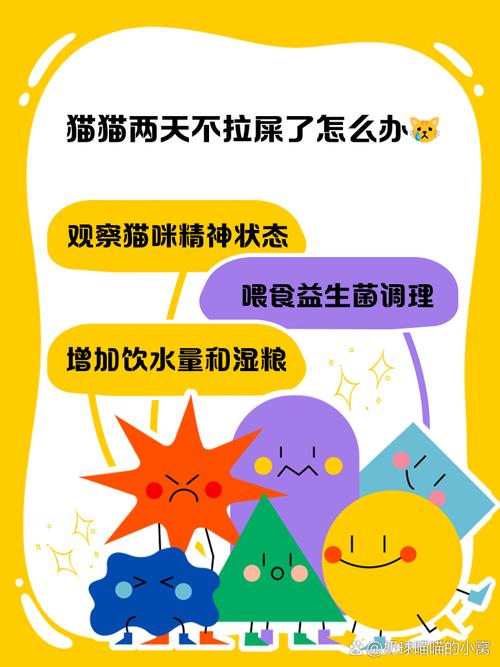 猫几天不拉屎会死吗
