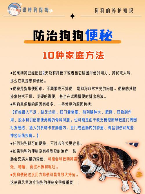 狗狗几天不拉屎怎么办，狗狗三天没拉屎但排尿