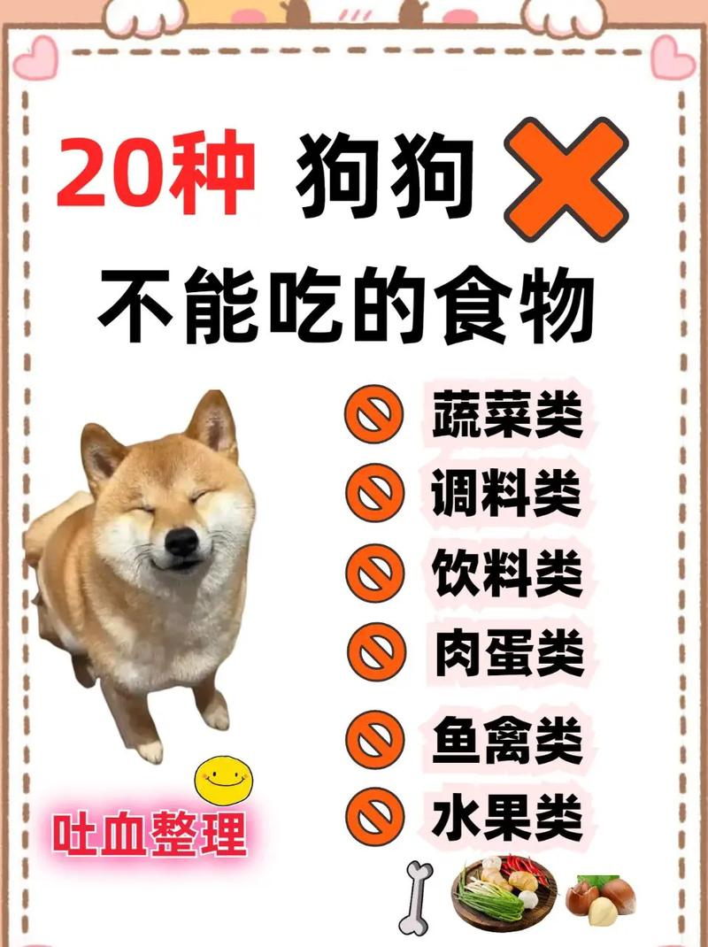 小狗狗吃撑了,现在不吃东西了也不拉屎,还不让人碰怎么办?