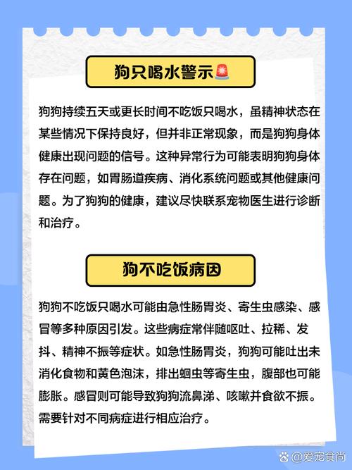 狗狗这几天好喝水,不吃饭饭了。但是不拉屎?