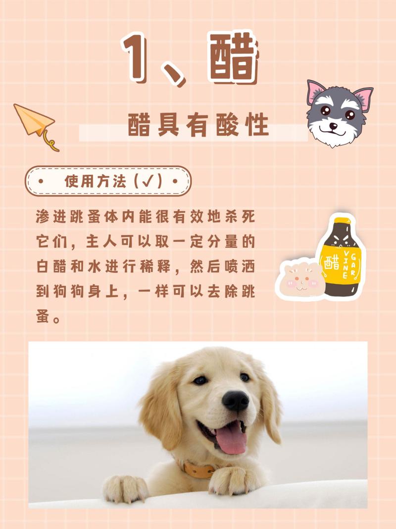 给狗喝醋有什么好处