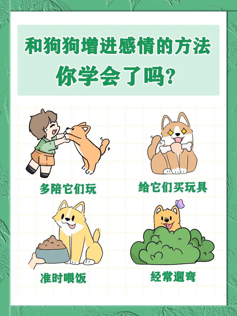 怎么和狗狗培养感情？怎么和狗狗培养感情呢？